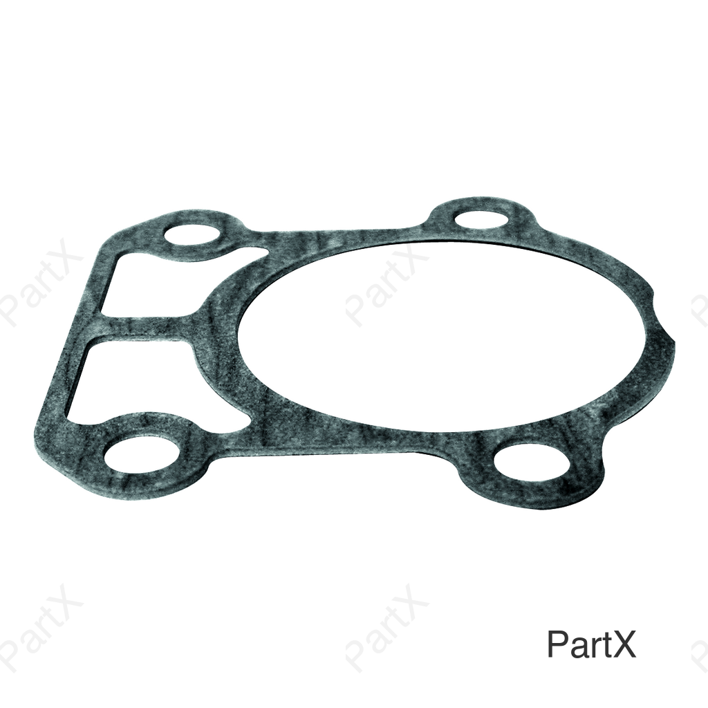 Gasket (38002)