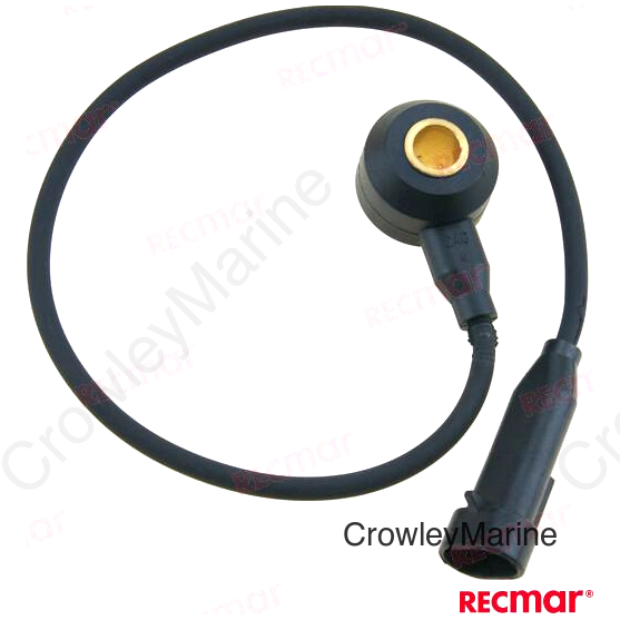 SENSOR KNOCK (REC8M6003194)