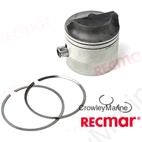 PISTON KIT (REC5006669)
