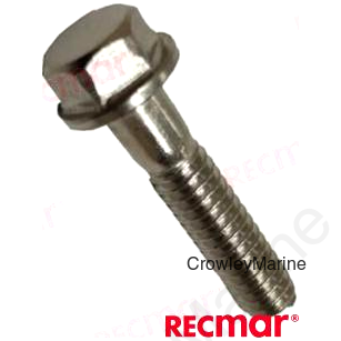 SCREW (REC331979)