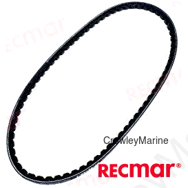 BELT (REC829207)