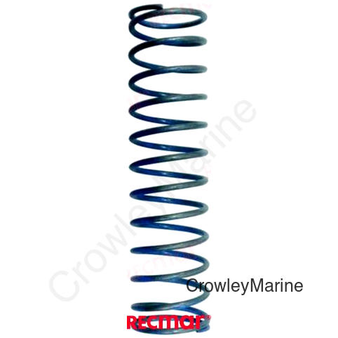 VALVE SPRING (REC317245)