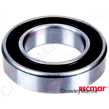 WATER PUMP BEARING (REC183861)