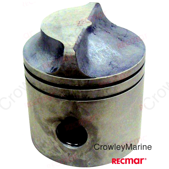 PISTON KIT (REC5006657)