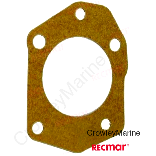 FUEL PUMP GASKET (REC648-24434-01)