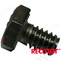 SCREW (REC10-85486)