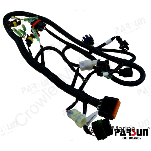 ECU CABLE ASSY