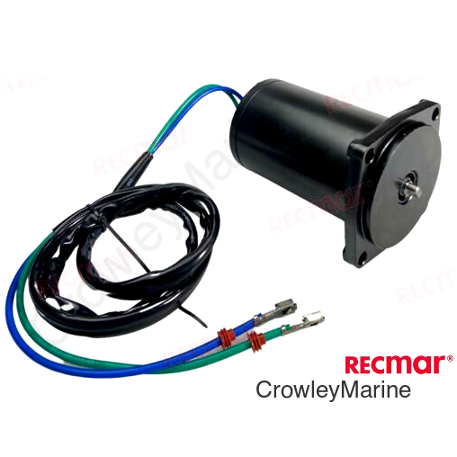 TRIM MOTOR
