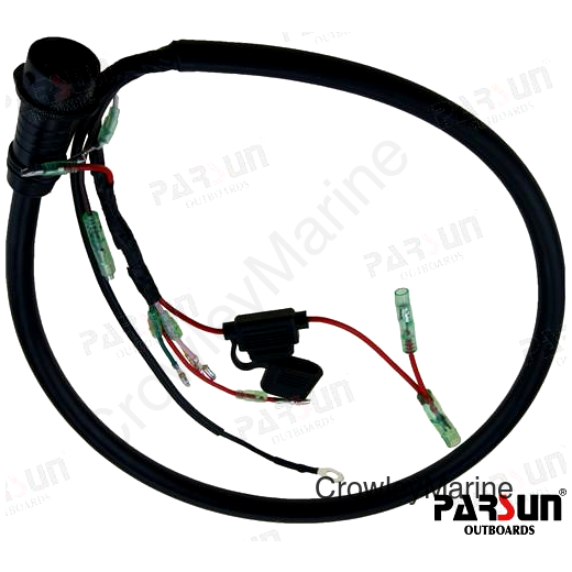 CDI CABLE ASSY (10 PIN)
