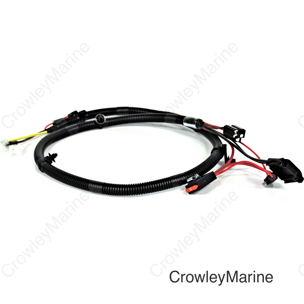 HARNESS ASSY., MAIN