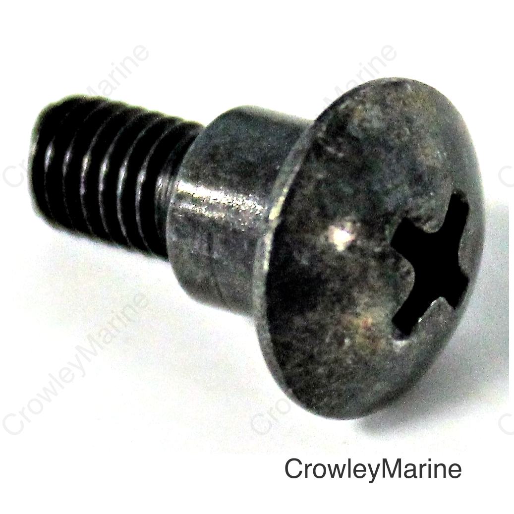 SCREW (5MM)