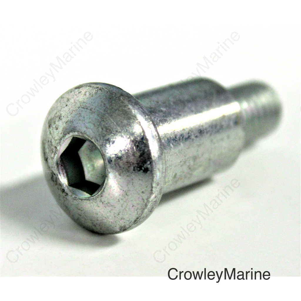 BOLT, SPECIAL (8X32)