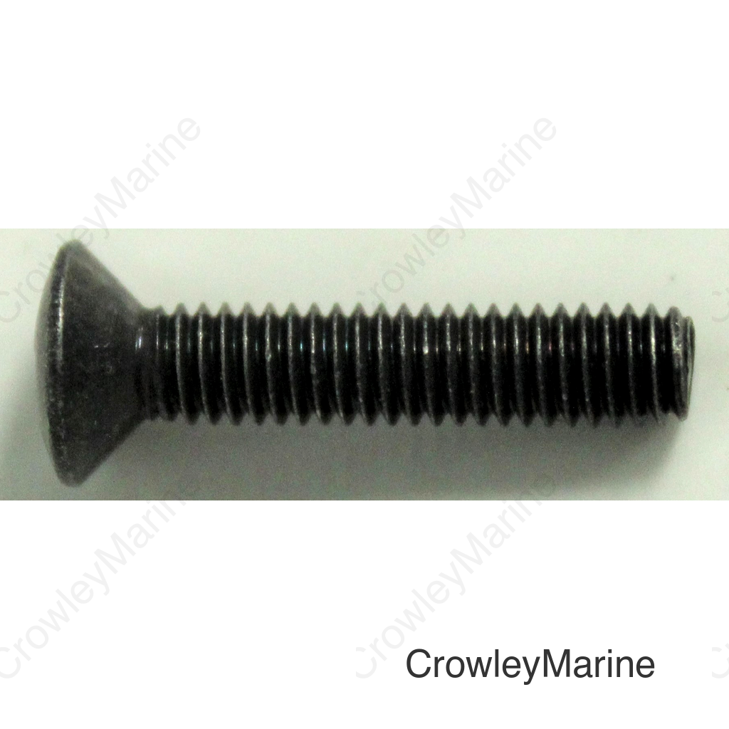 SCREW, OVAL (4X20)