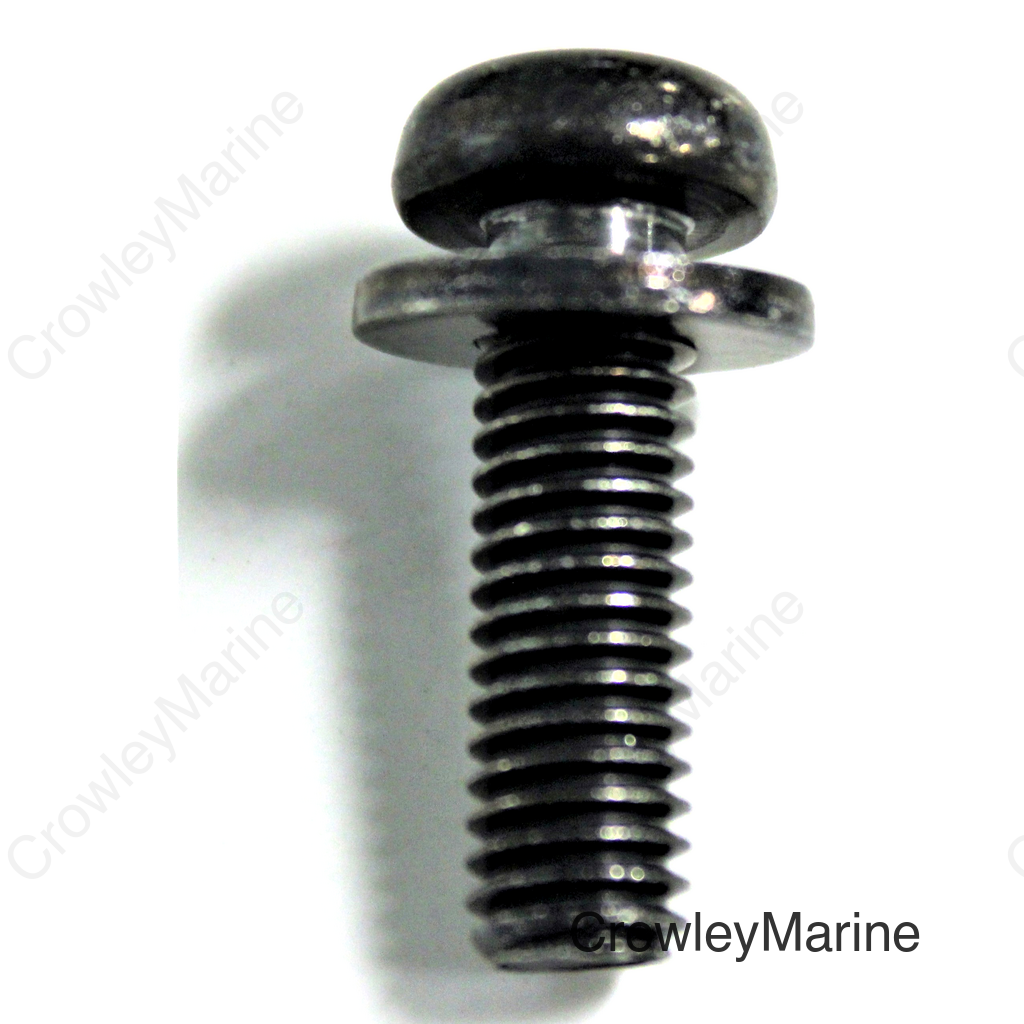SCREW-WASHER (6X20)