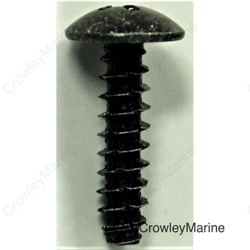 SCREW, TAP (5X20)