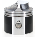 Piston Assembly (Includes Piston, Rings, Clips, Pin) (Standard)