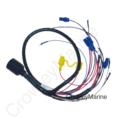 Wiring Harness, Johnson/Evinrude