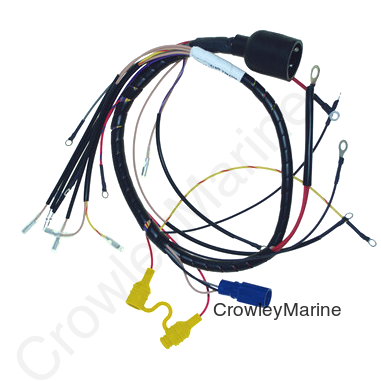 Wiring Harness, Johnson/Evinrude