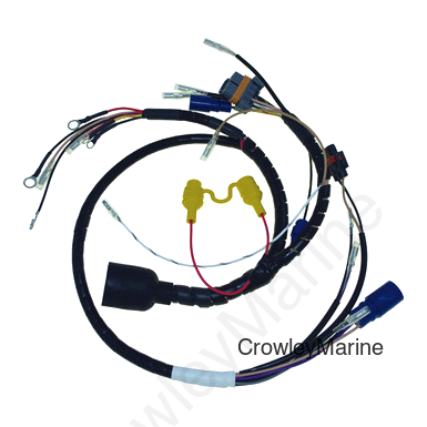 Wiring Harness, Johnson/Evinrude