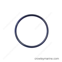 [11379] Oil Pump Assembly O-Ring