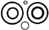 [0390007] O-Ring Package